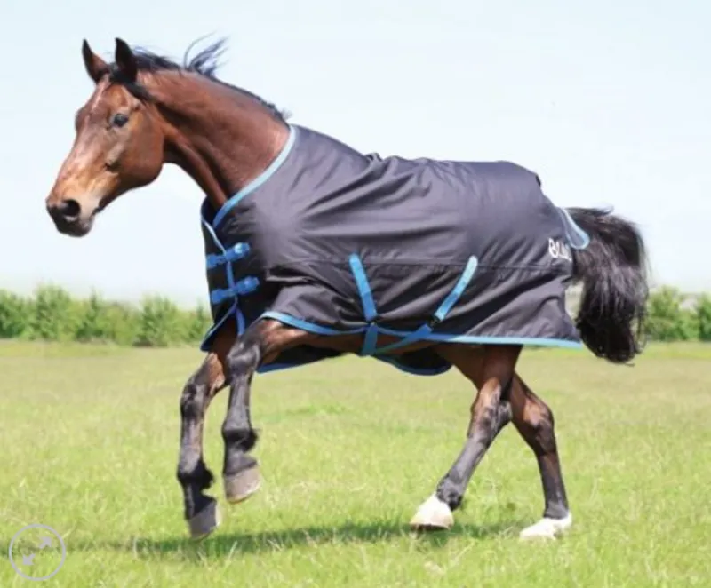 Bridleways Ontario Medium Turnout Black-Blue